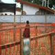 A child suspected of having Ebola virus, though not the one that died today, is seen at a treatment center in Beni, Eastern Congo on April, 16, 2019